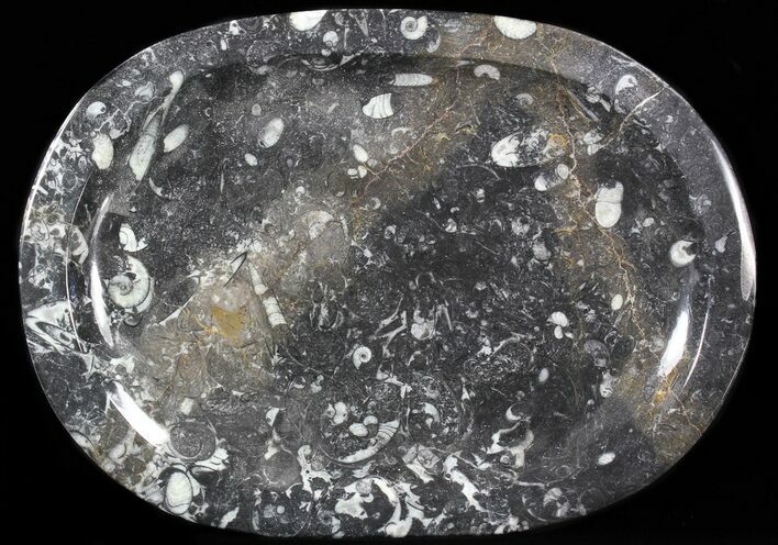 / Fossil Orthoceras & Goniatite Plate - Stoneware #40386